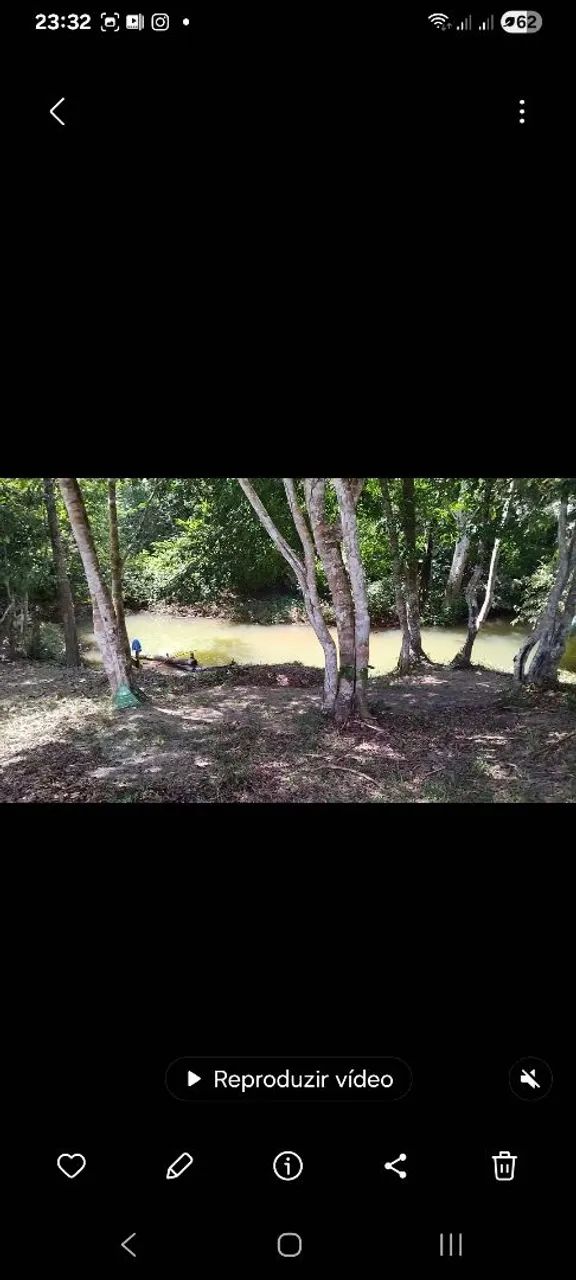 Terrenos com igarape  - Foto 2