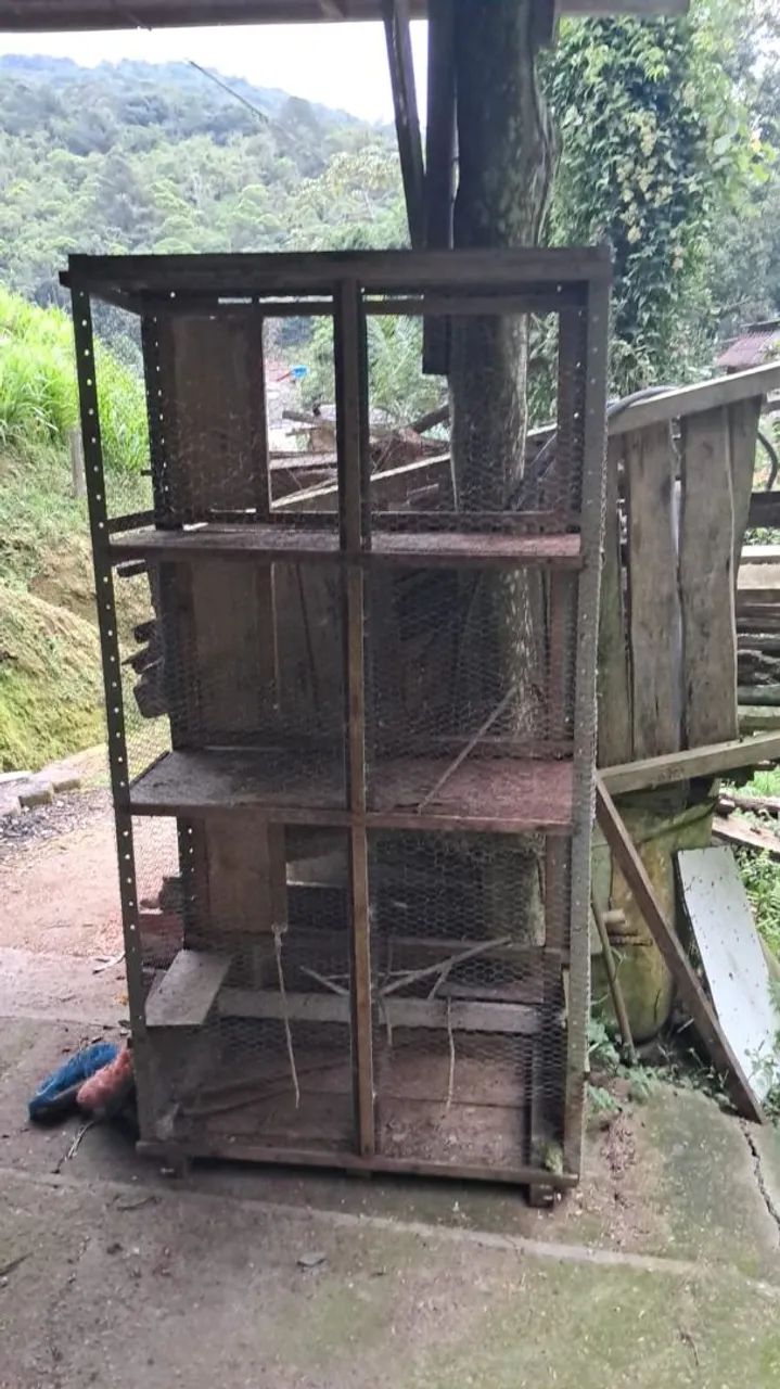 Viveiro para passaros  - Foto 2