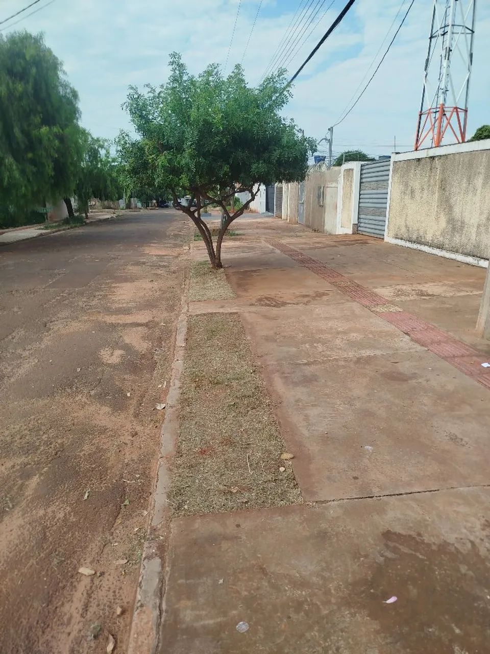 Jardineiro - Foto 5