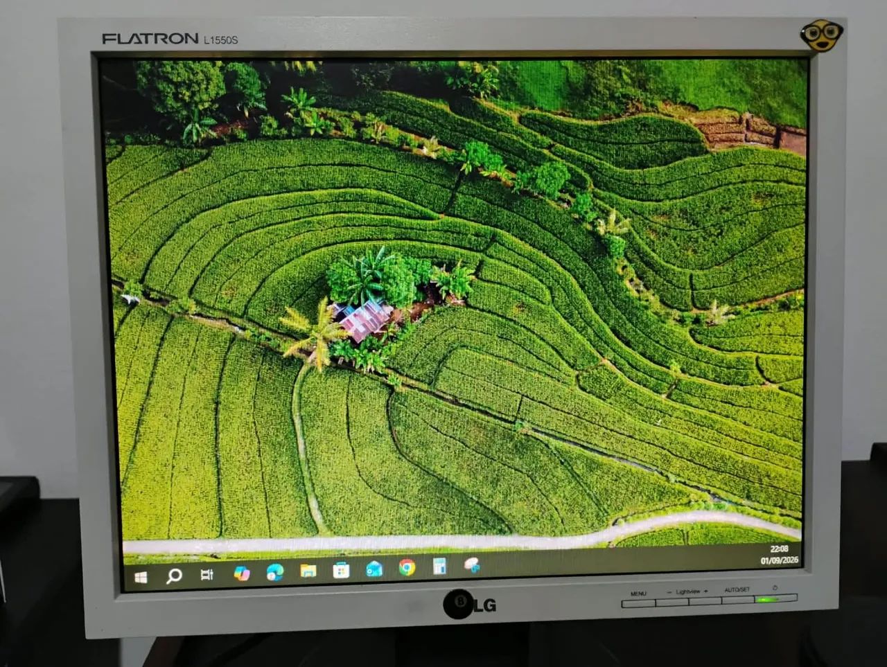 Monitor LG 15 polegadas 