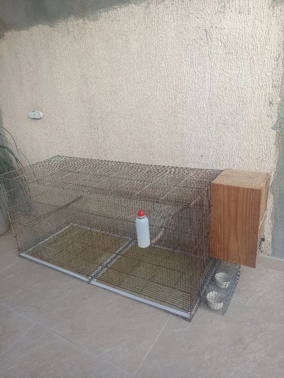 Voadeira para psitacídeos.