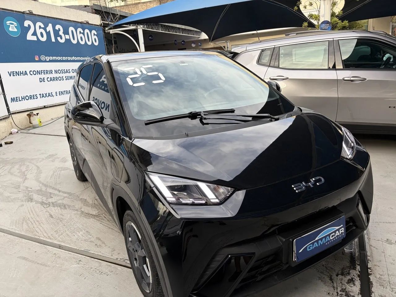 BYD Dolphin Mini (Elétrico) 2025 - Foto 3