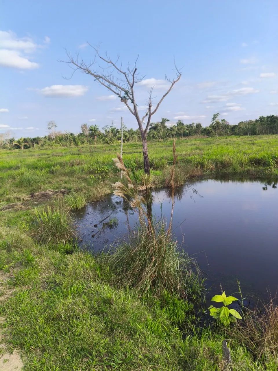 Colônia a 32 km da cidade - Foto 4