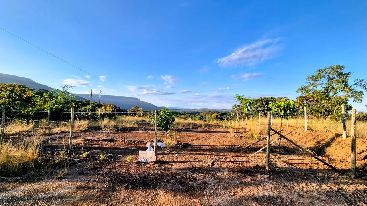 Chácara parcelada  - Foto 4