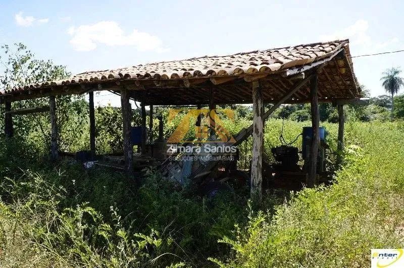 Fazenda - 681 hectares - São João da Aliança  Goiás - Foto 5
