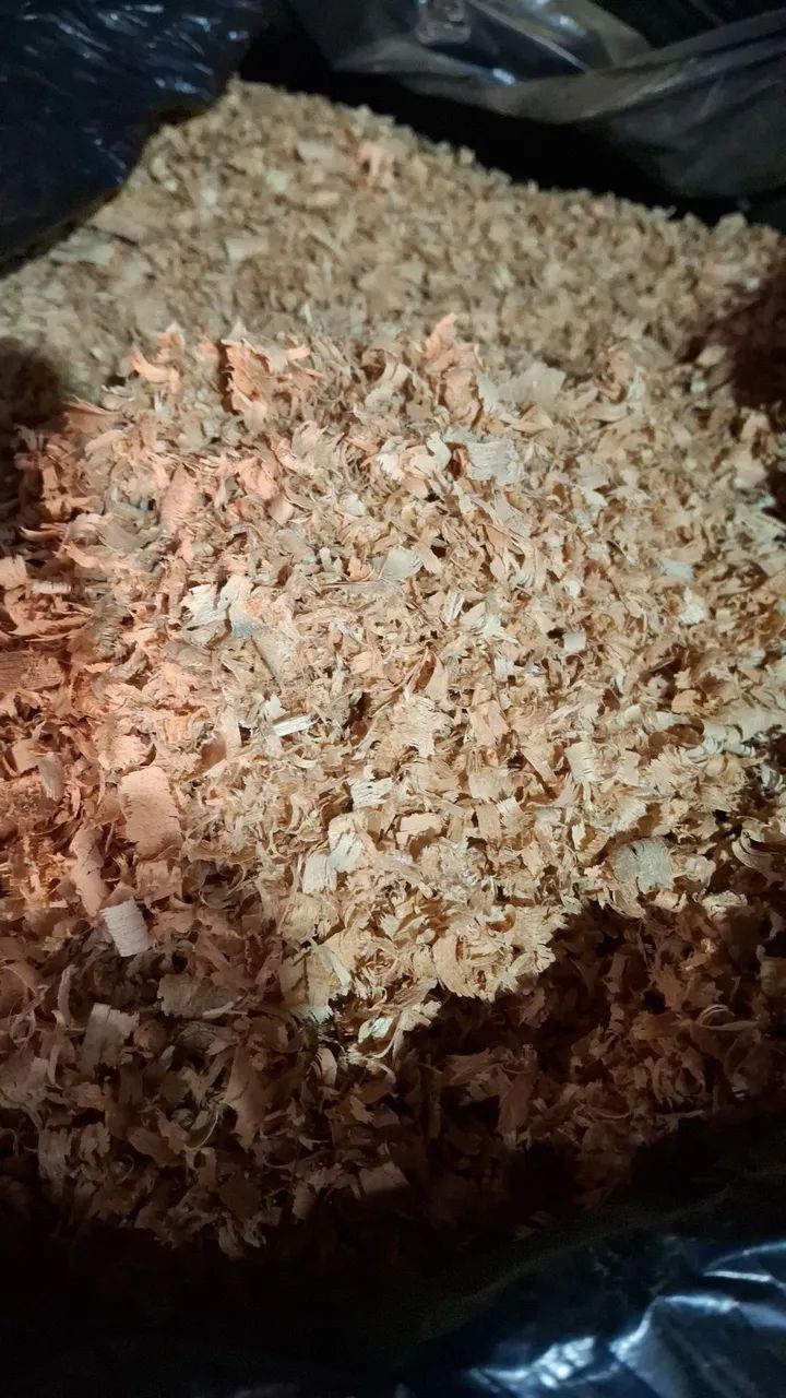 Cepilhos 