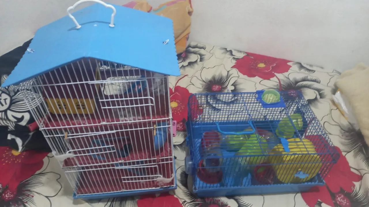 Gaiola de hamster65578378934403121