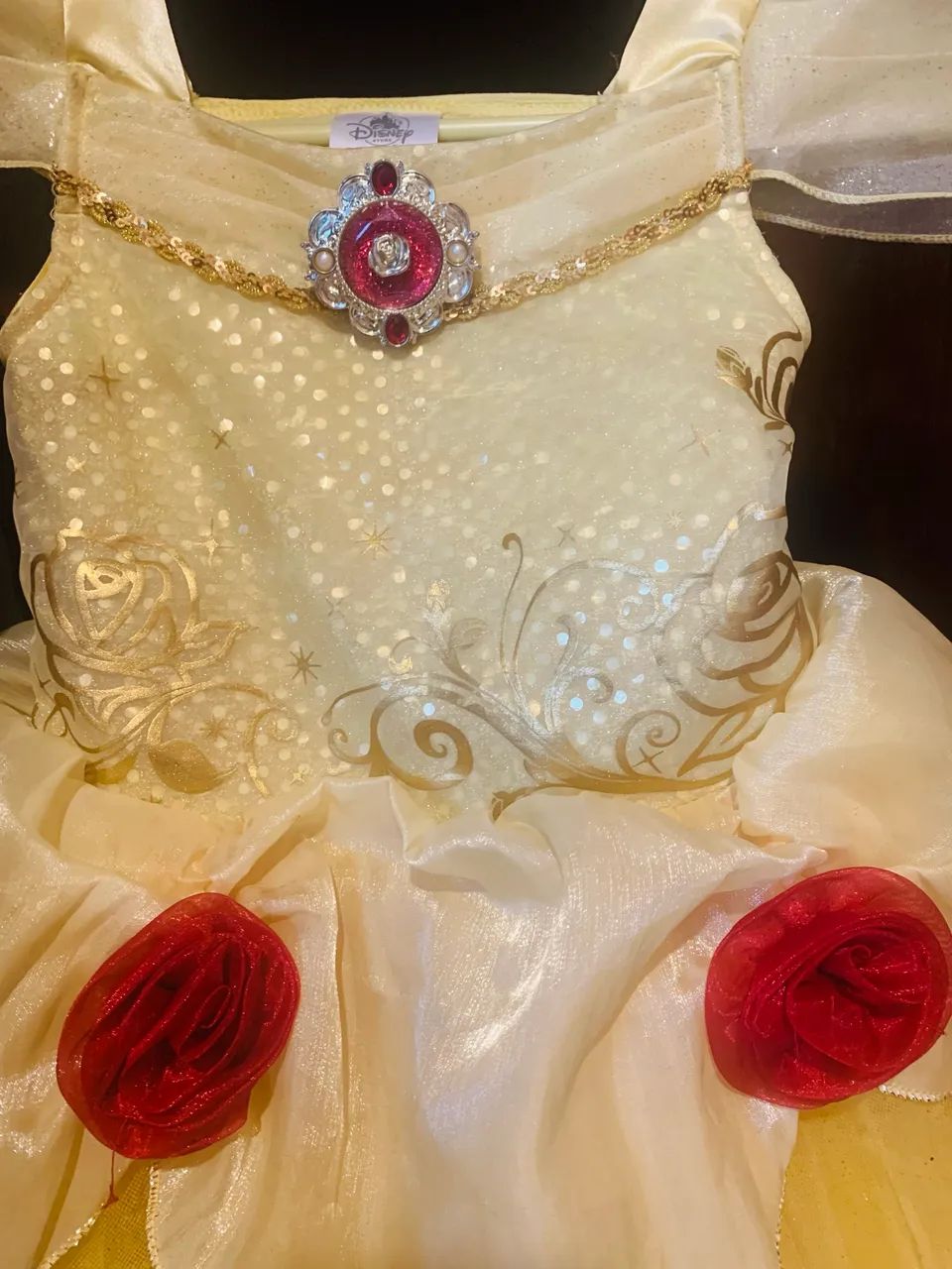 Princesa Bella da Disney - Foto 5