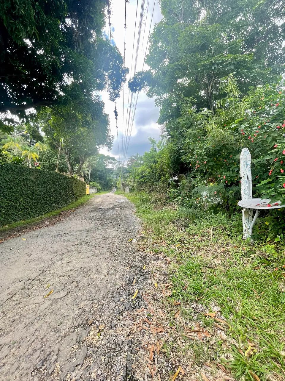 Sítio no Mendanha Campo Grande  - Foto 5