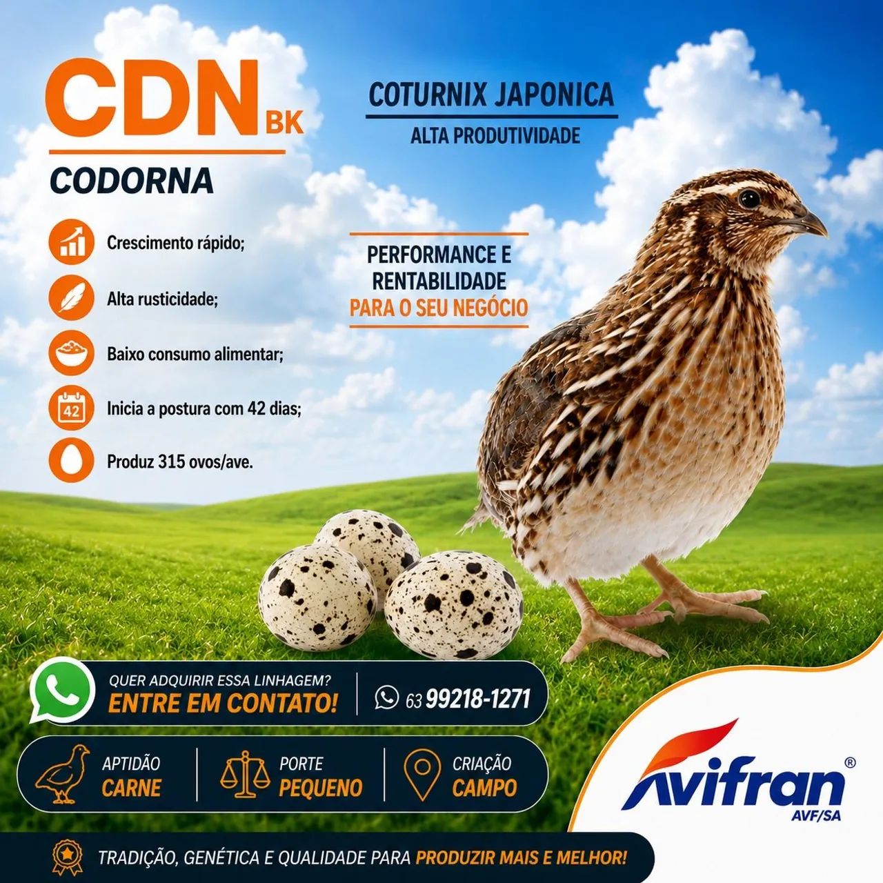 Caixa de pintinhos 100 unidades. - Foto 6