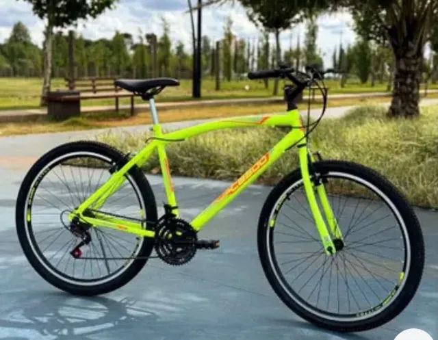 Bicicleta 