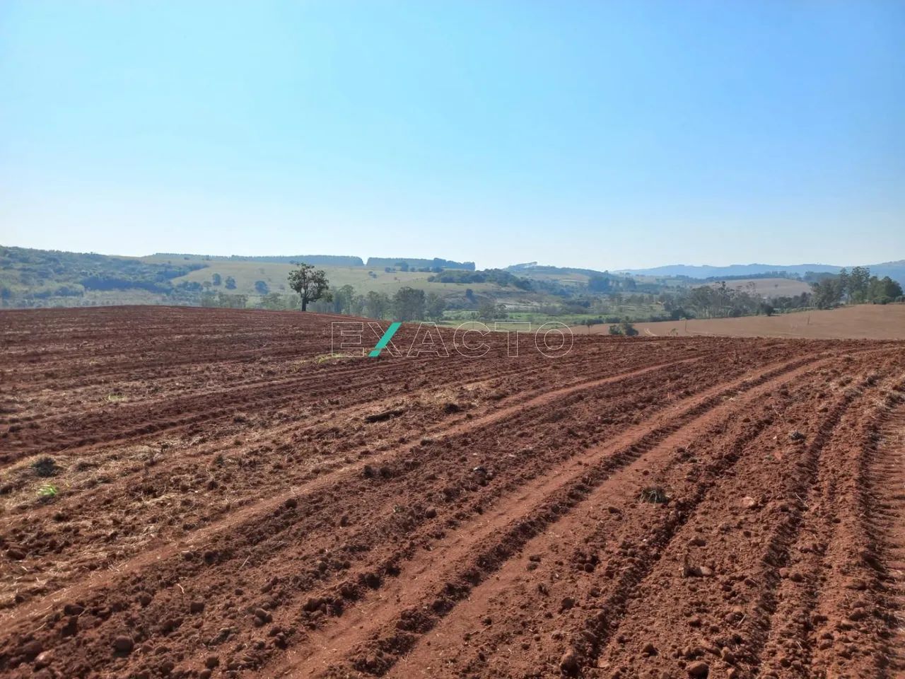 sítio - Centro - Jacutinga - Foto 4