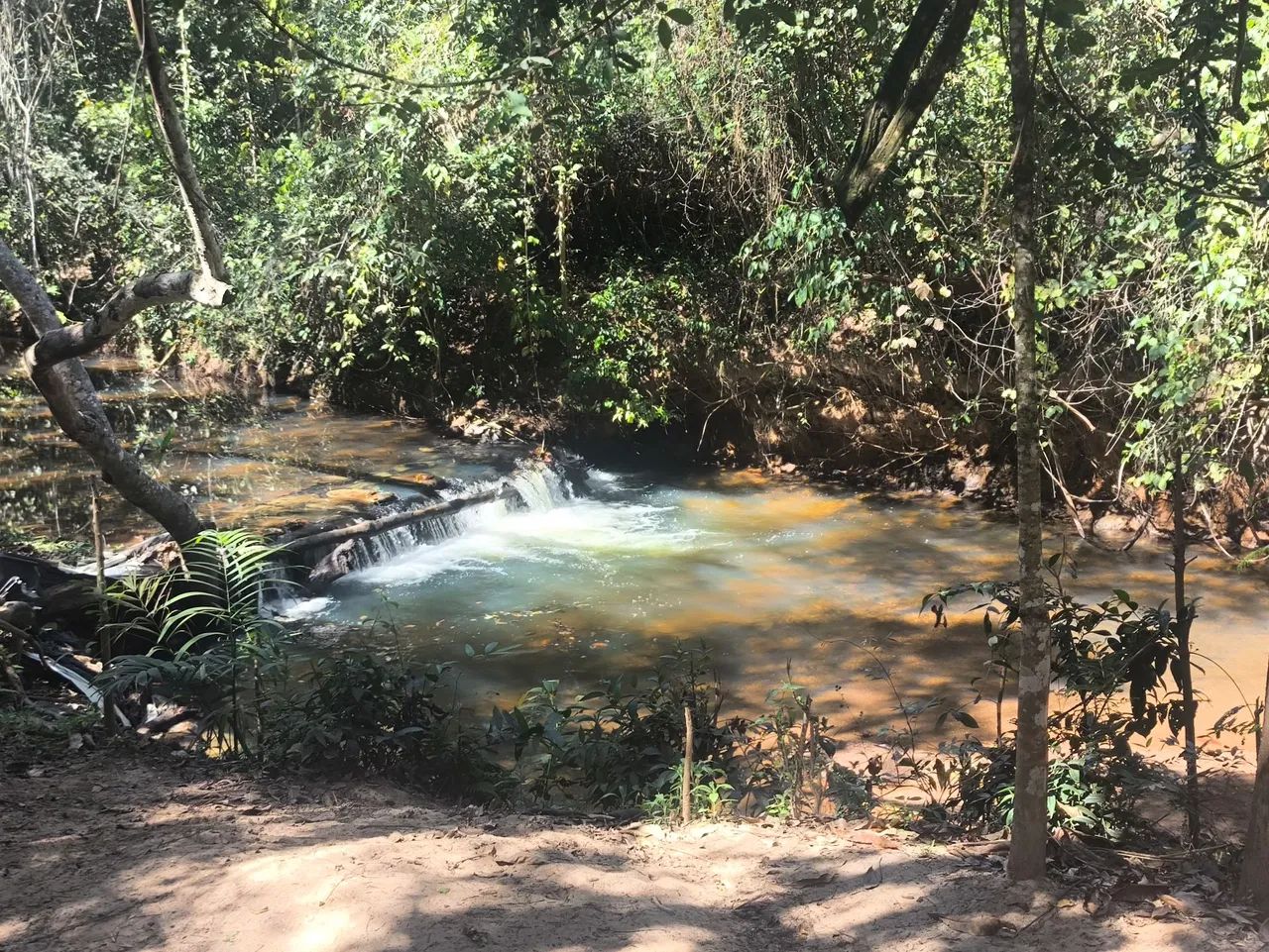 Chácara região de Pirenópolis  - Foto 5