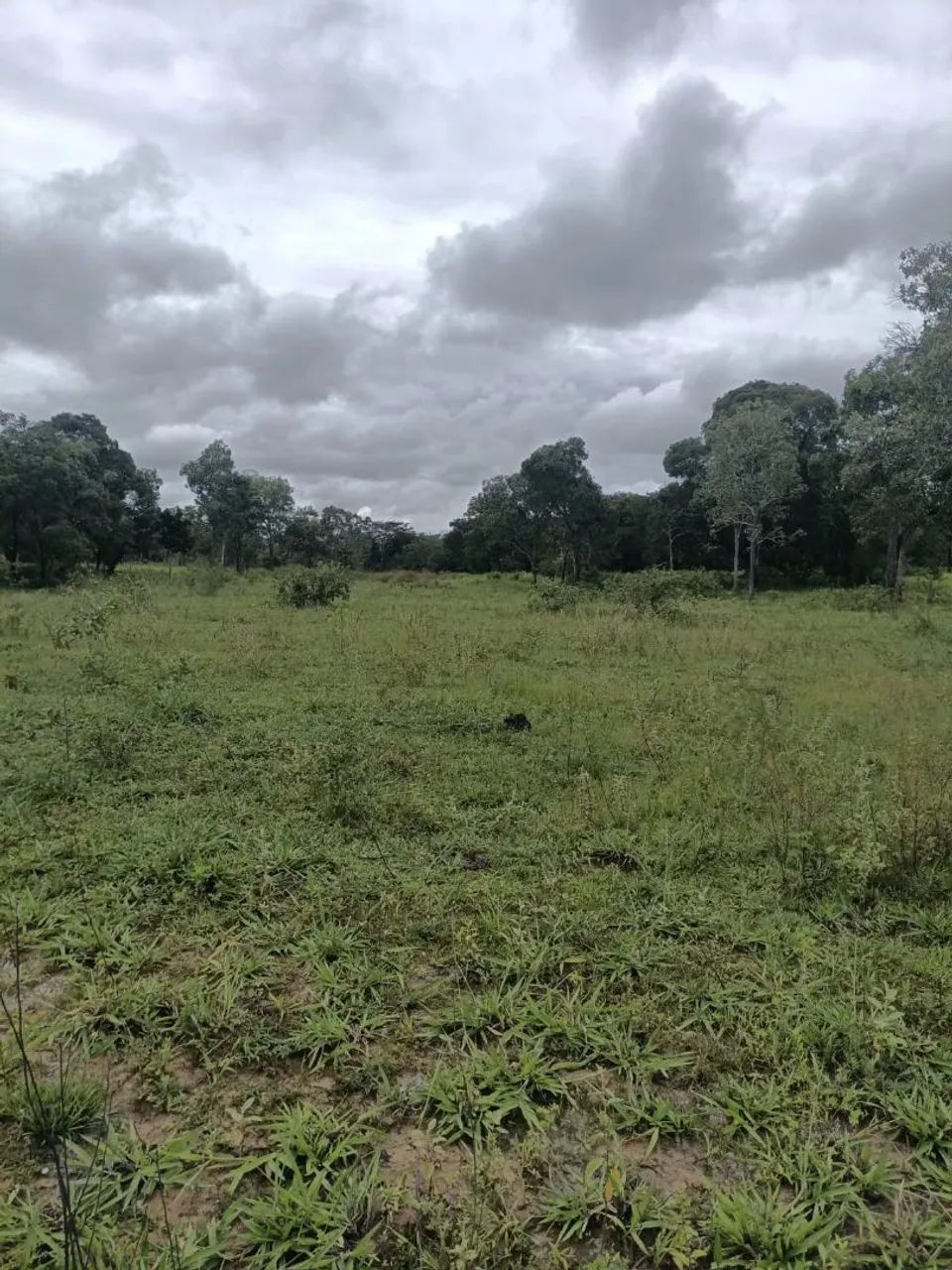 Próximo a arinos minas gerais  - Foto 3