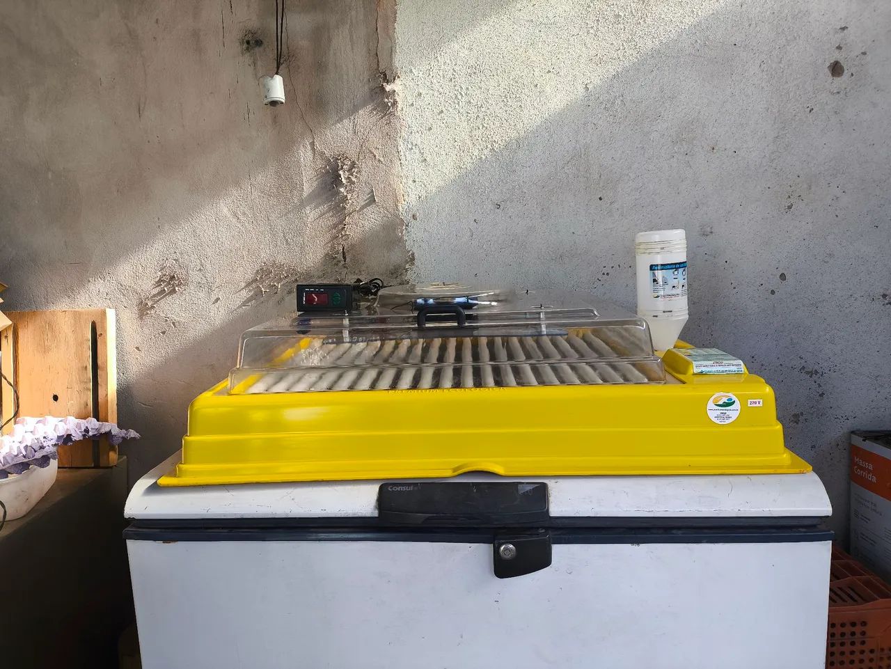 Chocadeira Premium  - Foto 4