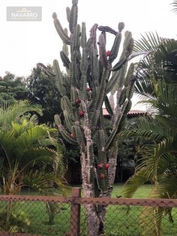 Casa com 8 dormitórios à venda, 4000 m² por R$ 1.700.000 - Centro - Cabaceiras Do Paraguaç - Foto 5