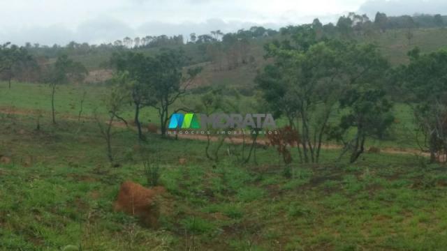 Fazenda à venda - 163 hectares - paraopeba (mg) - Foto 18