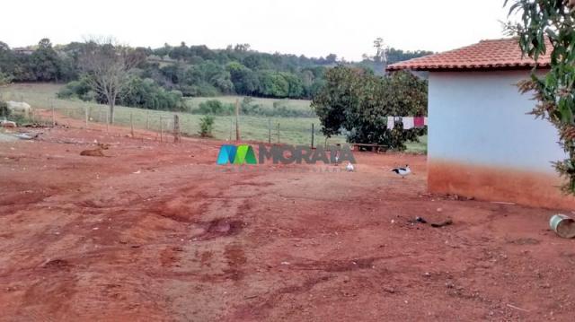 Fazenda à venda - 75 hectares - onça do pitangui (mg) - Foto 14