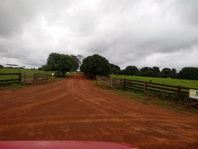 Fazenda - 981 Hectares - Cuiabá/MT - Foto 2