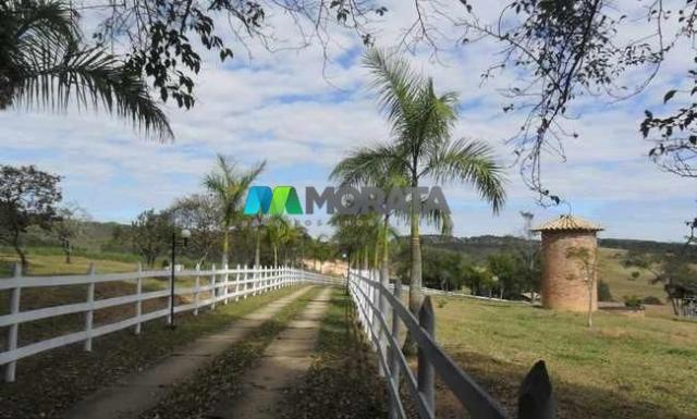 Fazenda pecuária - 220 hectares - belo vale (mg)