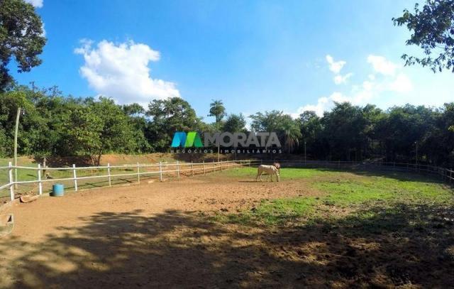Fazenda haras - 63.000 m2 - região lagoa santa (mg) - Foto 4