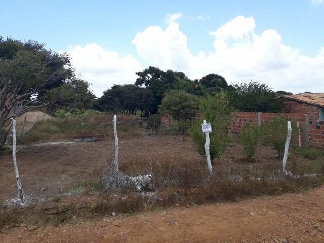 Terreno na Serra de Itabaiana - Foto 3