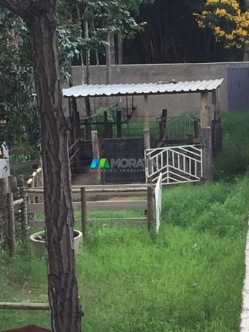 FAZENDINHA À VENDA - 2,5 HECTARES - PEQUI (MG) - Foto 15