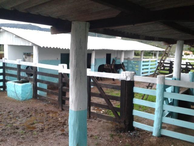 Fazenda - 981 Hectares - Cuiabá/MT - Foto 13