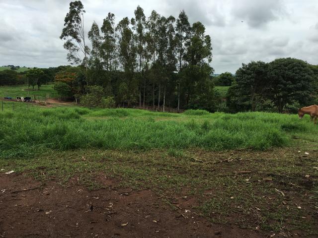 Chácara em Bela Vista de Goiás com casa - Foto 15
