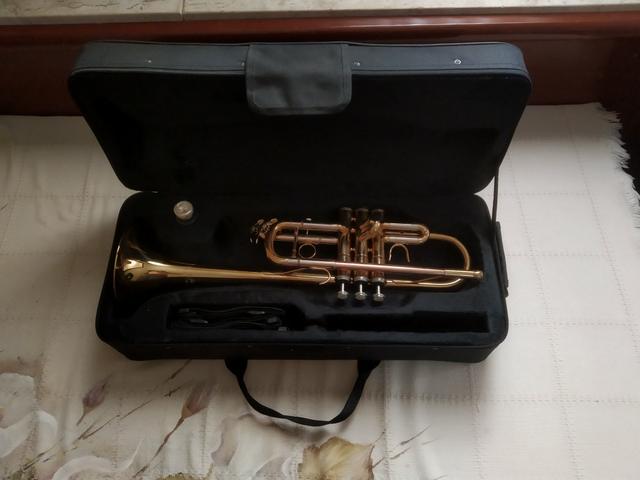 Instrumentos musicais - Foto 4