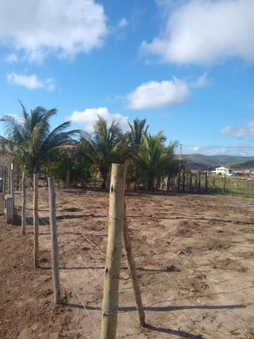 EXCELENTE TERRENO em ITARANTIM BA - Foto 4