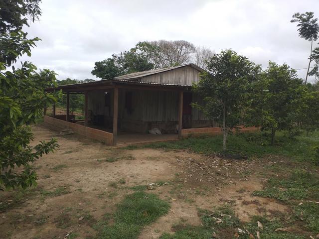 Vende-se uma chácara - Foto 6