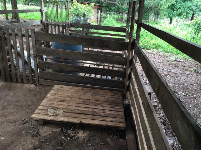 Chácara em Bela Vista de Goiás com casa - Foto 6