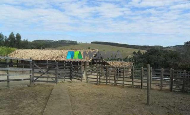 Fazenda pecuária - 220 hectares - belo vale (mg) - Foto 14