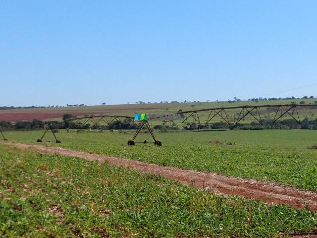 FAZENDA A VENDA - 300 hectares - REGIÃO PITANGUI (MG) - Foto 8