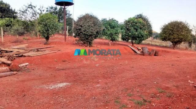 Fazenda à venda - 75 hectares - onça do pitangui (mg) - Foto 11