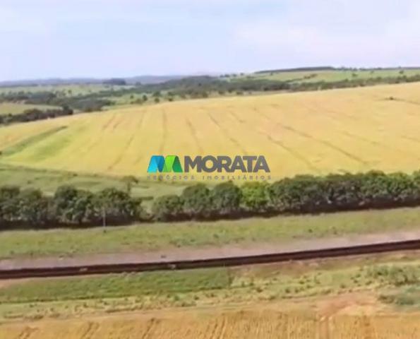 FAZENDA À VENDA – 300 HECTARES – REGIÃO DE PARÁ DE MINAS (MG) - Foto 8