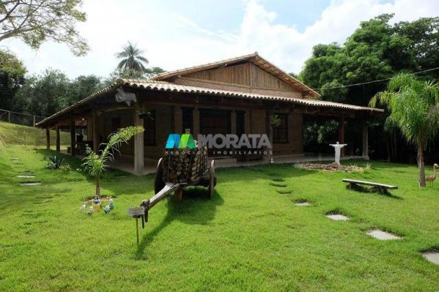 Fazenda haras - 63.000 m2 - região lagoa santa (mg) - Foto 8