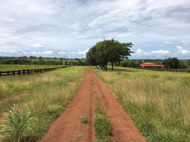 Fazenda - Foto 4