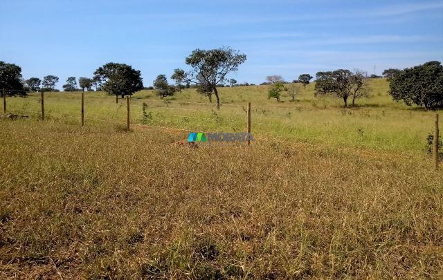 FAZENDA À VENDA - 300 HECTARES - PITANGUI (MG) - Foto 13