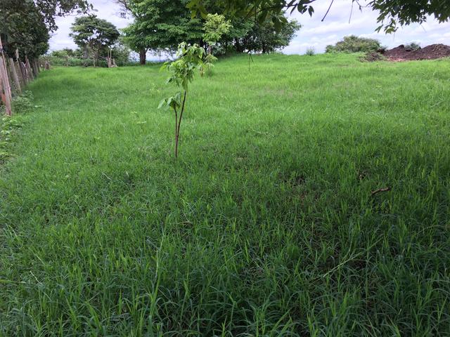 Chácara em Bela Vista de Goiás com casa - Foto 20