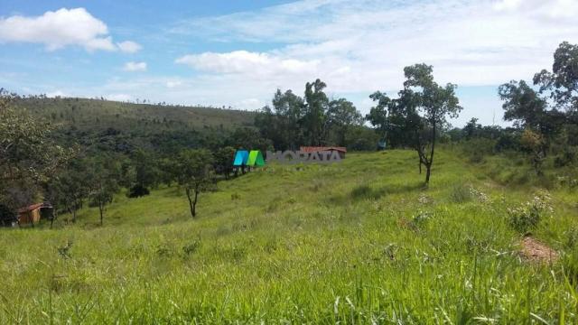 Fazenda à venda - 163 hectares - paraopeba (mg)