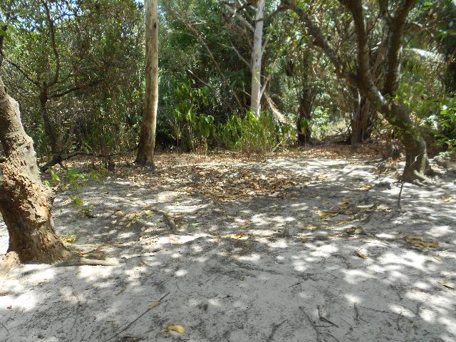 Vendo imóvel na Vila Vitória, com 1.500m² - Foto 7