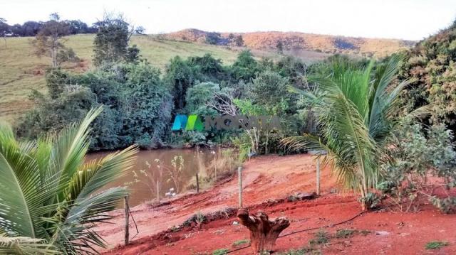 Fazenda à venda - 75 hectares - onça do pitangui (mg) - Foto 10