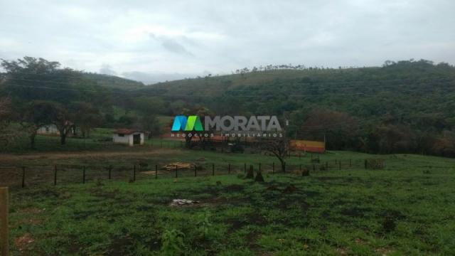 Fazenda à venda - 163 hectares - paraopeba (mg) - Foto 20