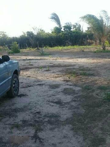 Terreno de tajaçuaba - Foto 3