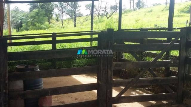 Fazenda à venda - 163 hectares - paraopeba (mg) - Foto 17