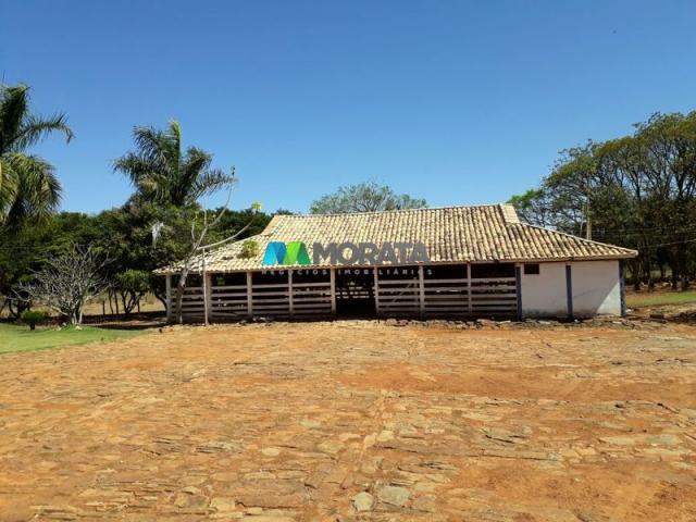 Fazenda à venda - 401 hectares - paraopeba (mg) - Foto 8