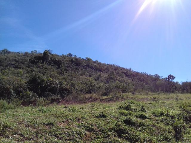 Sítio com cachoeira - Itumirim - MG - Foto 7