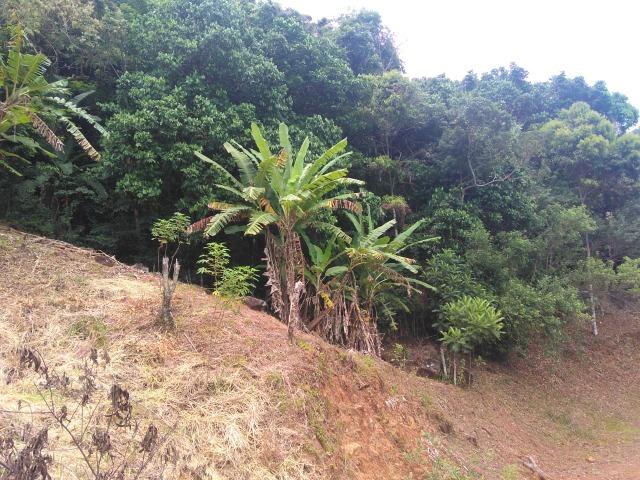 Sítio 40.000m2 em Casimiro de Abreu - Foto 7